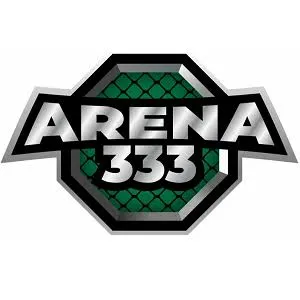 ARENA333 - Pertarungan Epik dalam Dunia Game Fighting